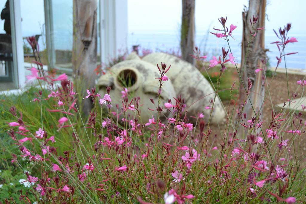Villa Delle Anfore スコペッロ エクステリア 写真
